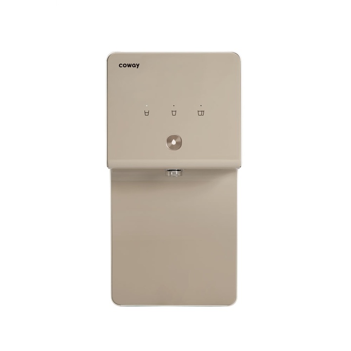 Coway Cinnamon P-6320R